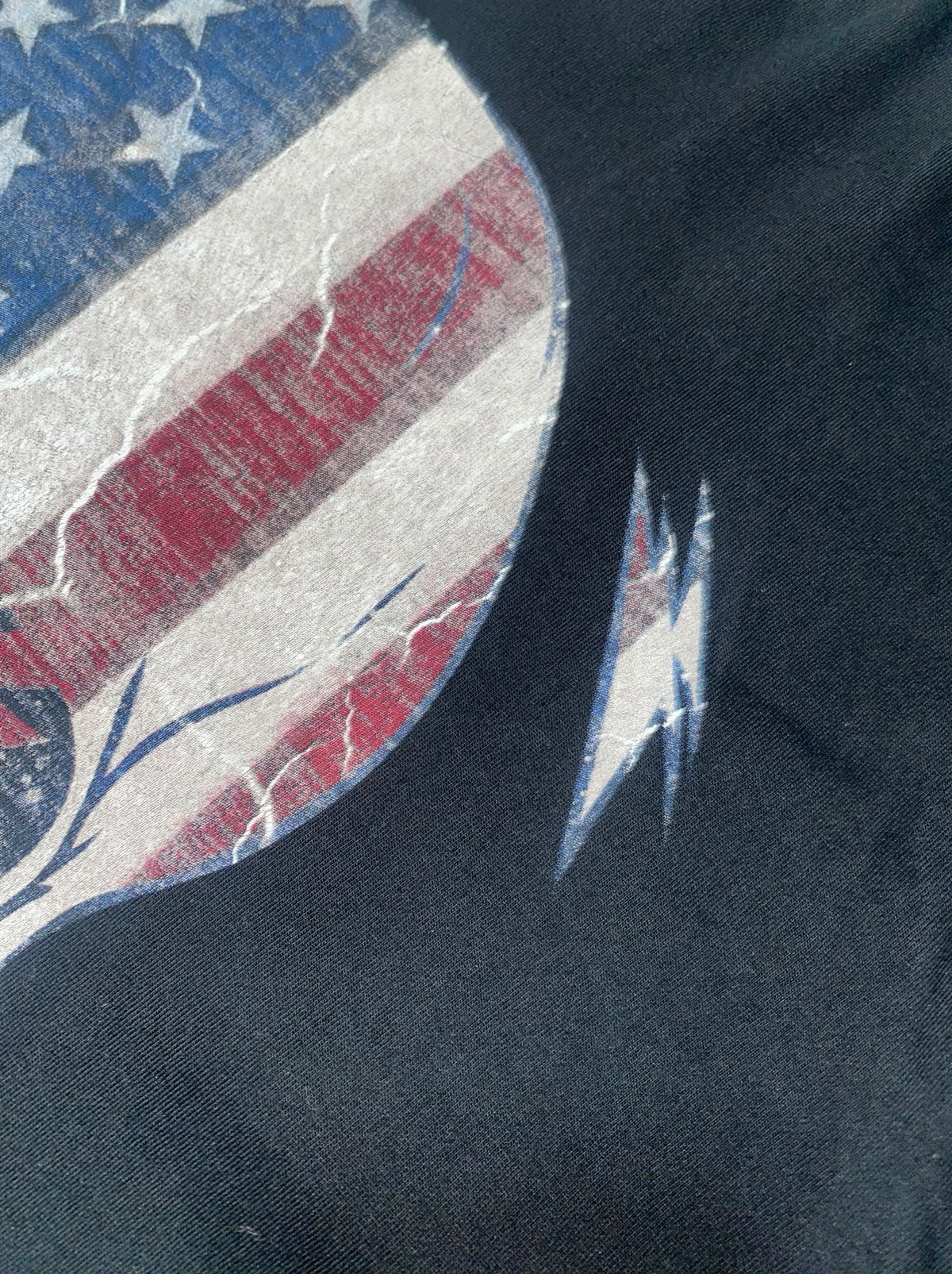 Cedar Wood State 2010s USA y2k T-Shirt Goth *M*